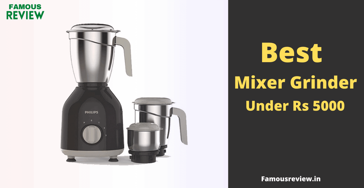 best mixer grinder under 5000