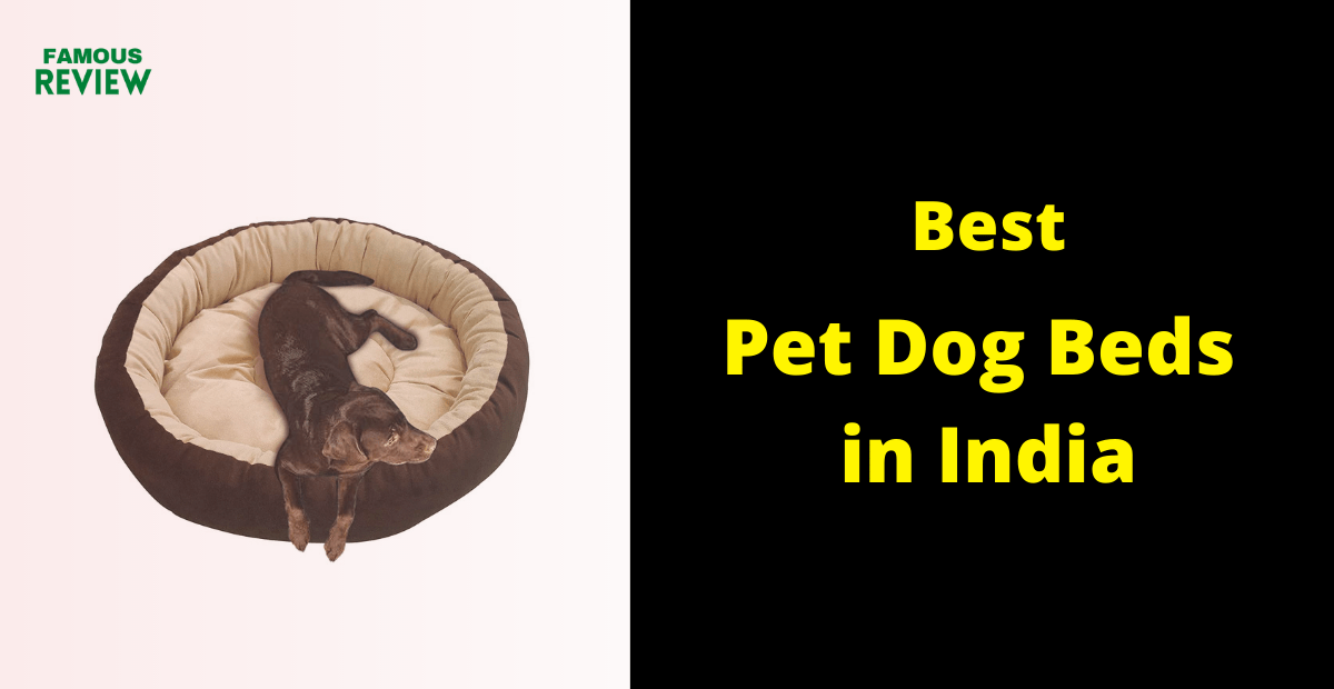 Best pet Dog Beds in India Reviews and Buying Guide with compare